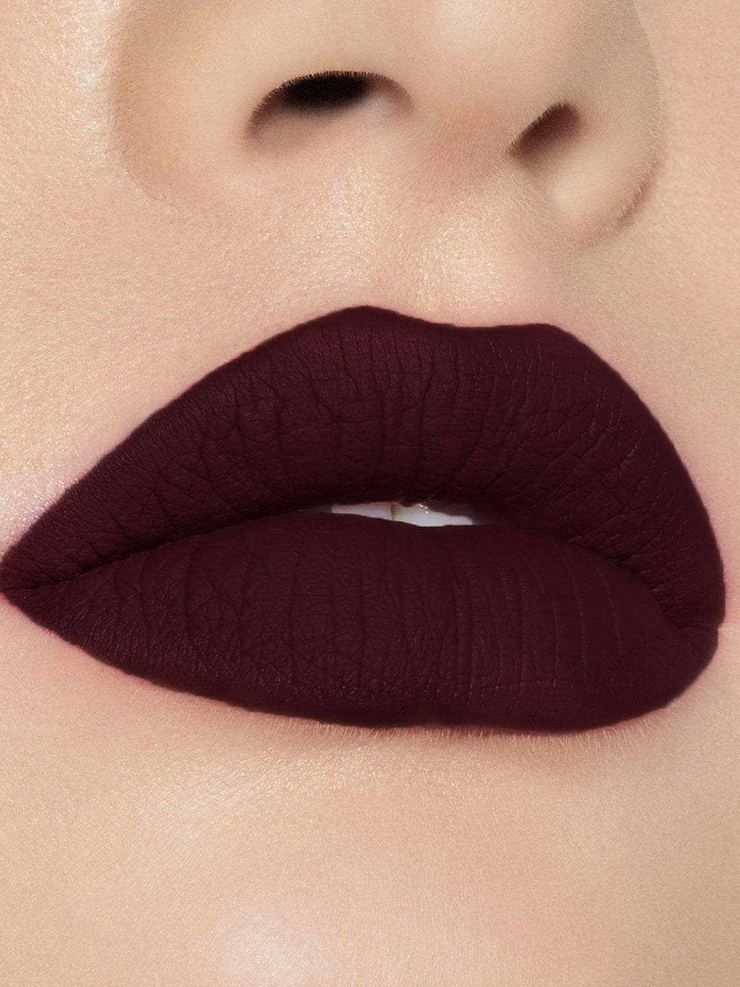 Soft Touch Matte Waterproof Liquid Lipstick 4.5 ml- Alluring Plum 441